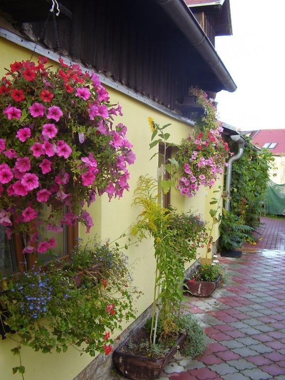 Penzion Many Peny Йиндржихув-Градец Экстерьер фото
